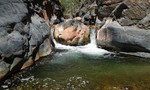 photo thumbnail #12