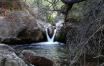 photo thumbnail #15