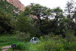 photo thumbnail #5