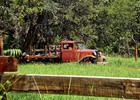 photo thumbnail #8