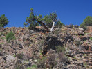 photo thumbnail #4