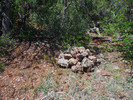 photo thumbnail #8