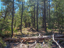 photo thumbnail #9