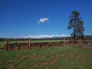 photo thumbnail #13