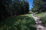 photo thumbnail #11