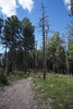 photo thumbnail #13