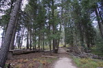 photo thumbnail #14
