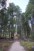 photo thumbnail #15