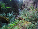 photo thumbnail #10