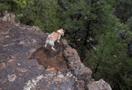 photo thumbnail #4