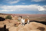 photo thumbnail #10