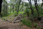 photo thumbnail #8