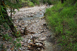 photo thumbnail #15