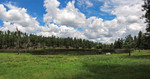 photo thumbnail #2