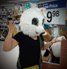 photo thumbnail #7