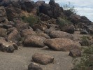 photo thumbnail #10