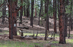 photo thumbnail #9