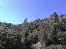 photo thumbnail #10