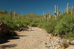 photo thumbnail #2