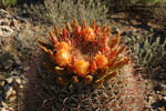 photo thumbnail #3