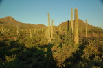 photo thumbnail #1