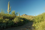 photo thumbnail #5
