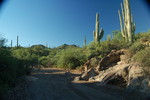 photo thumbnail #7