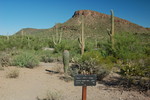 photo thumbnail #12