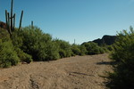 photo thumbnail #13