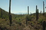 photo thumbnail #15