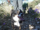 photo thumbnail #3