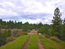 photo thumbnail #1