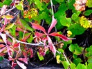 photo thumbnail #5