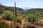 photo thumbnail #6