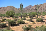 photo thumbnail #7