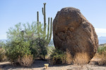 photo thumbnail #10
