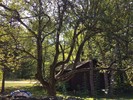photo thumbnail #11