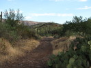photo thumbnail #2