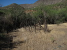 photo thumbnail #7