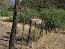 photo thumbnail #8