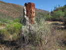 photo thumbnail #13
