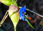 photo thumbnail #15