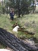 photo thumbnail #2