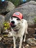 photo thumbnail #7