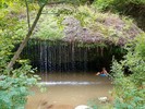 photo thumbnail #13