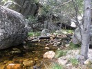 Featured Full Photo