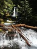 photo thumbnail #1