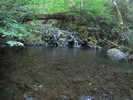 photo thumbnail #8