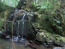 photo thumbnail #9