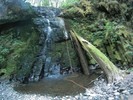 photo thumbnail #11